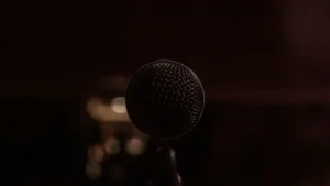 Nahaufnahme eines Mikrofons im Dunkeln - Symbol für Sprache, Stimme und öffentliche Debatte - und die Notwendigkeit für Präzision