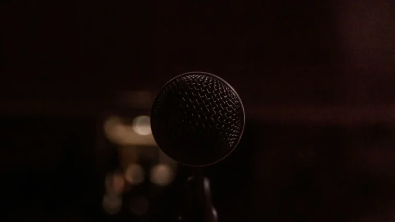 Nahaufnahme eines Mikrofons im Dunkeln - Symbol für Sprache, Stimme und öffentliche Debatte - und die Notwendigkeit für Präzision